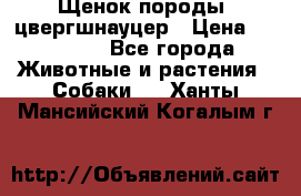 Щенок породы  цвергшнауцер › Цена ­ 30 000 - Все города Животные и растения » Собаки   . Ханты-Мансийский,Когалым г.